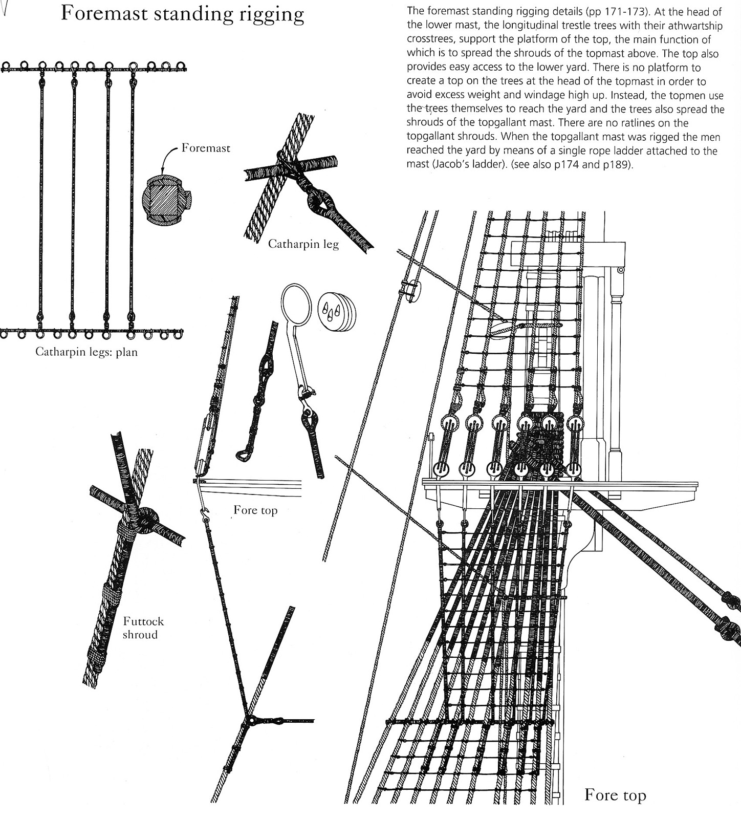 foremast standing rigging.jpg