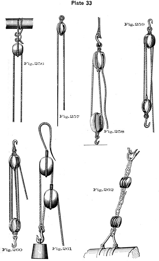 plate33.jpg