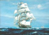 Ariel299