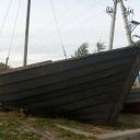 S6303506
