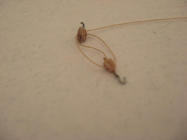 2012 03 04 01.JPG