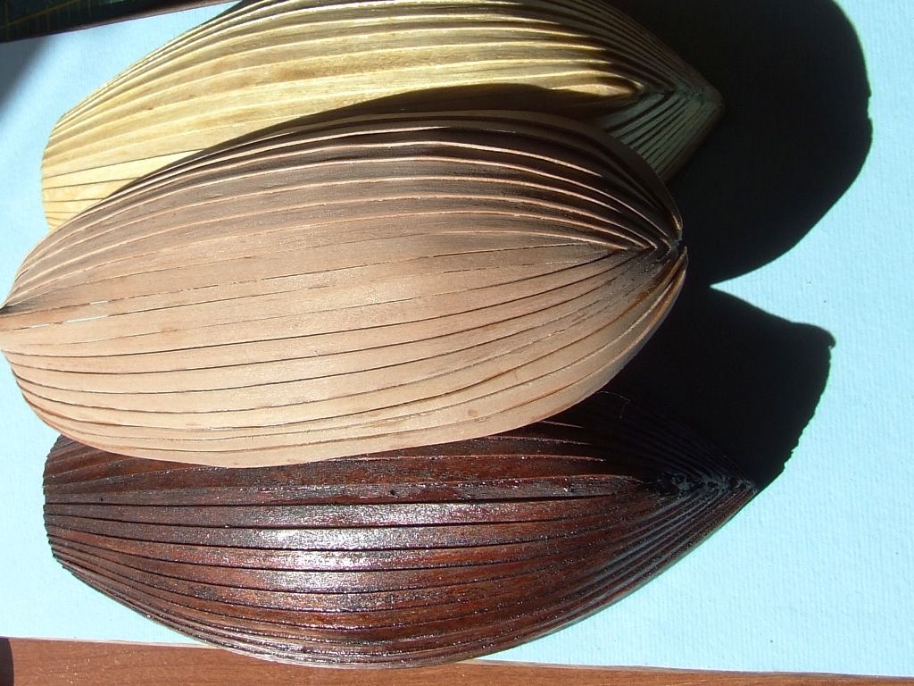 DSCF6784.JPG