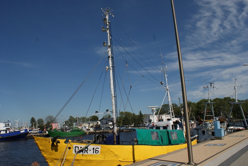 DAR - 16.JPG