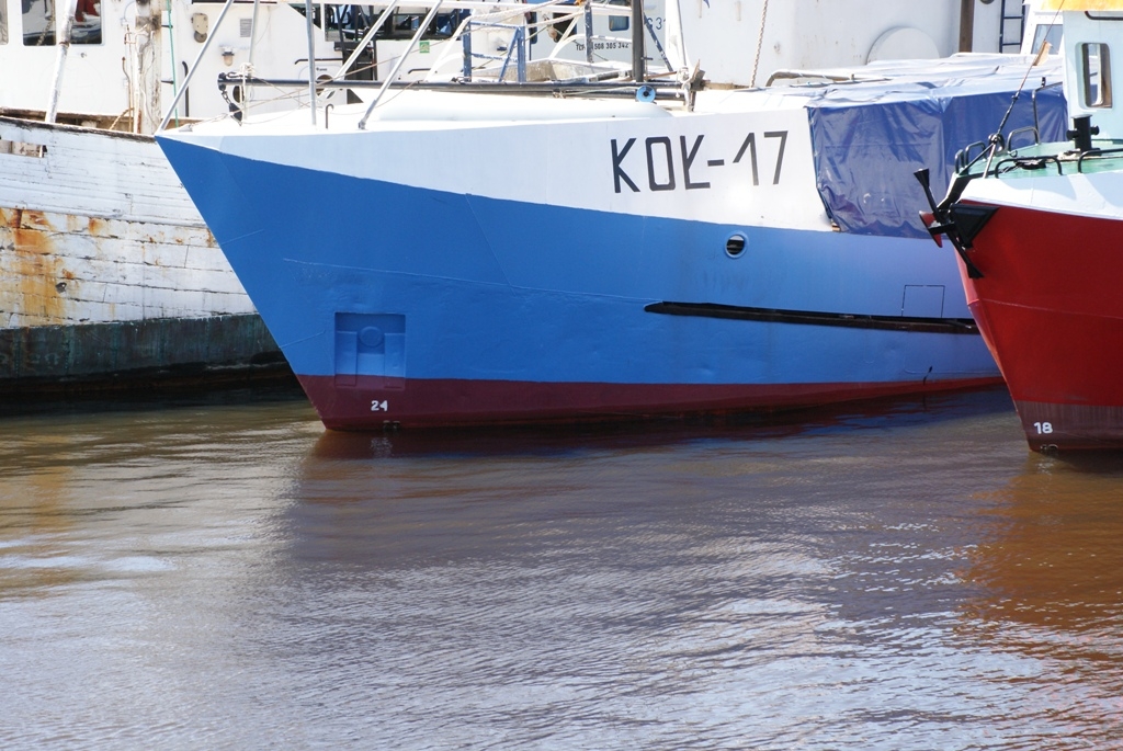 KOŁ - 17.JPG