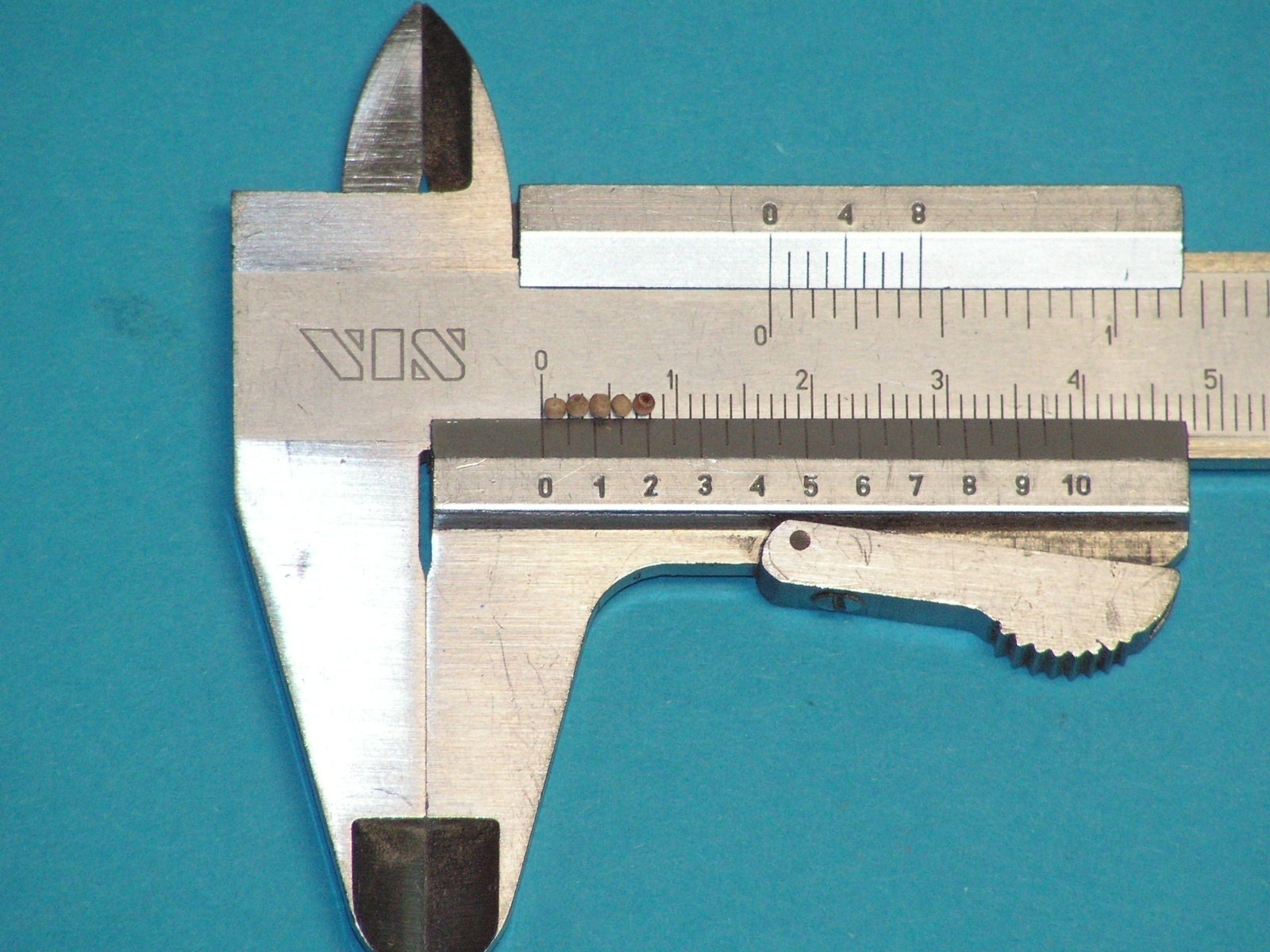 DZK0104.jpg