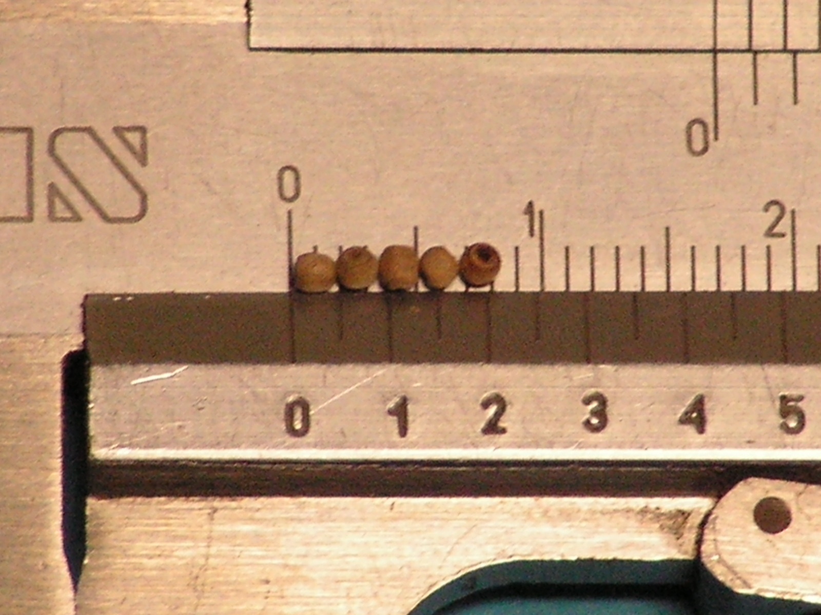 DZK0105.jpg