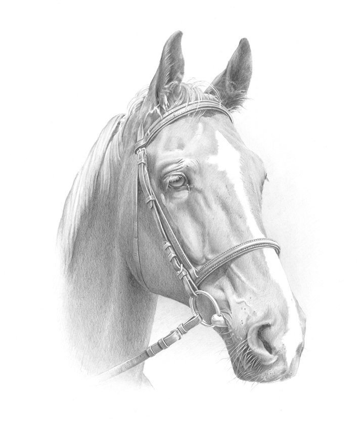 konik3(A4).jpg