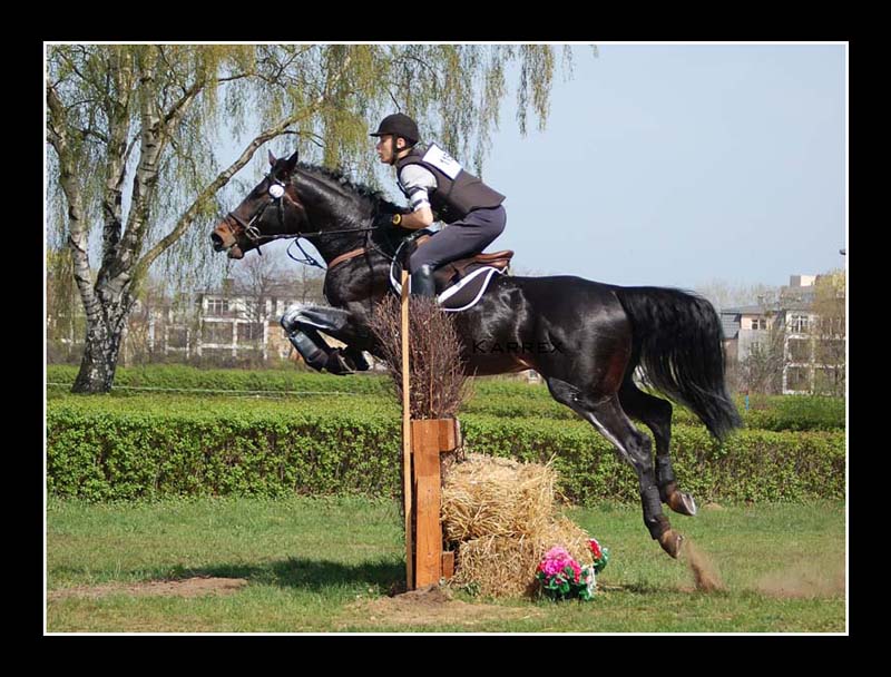 01wkkw88.jpg (128.44 KiB) Przejrzano 6755 razy cross