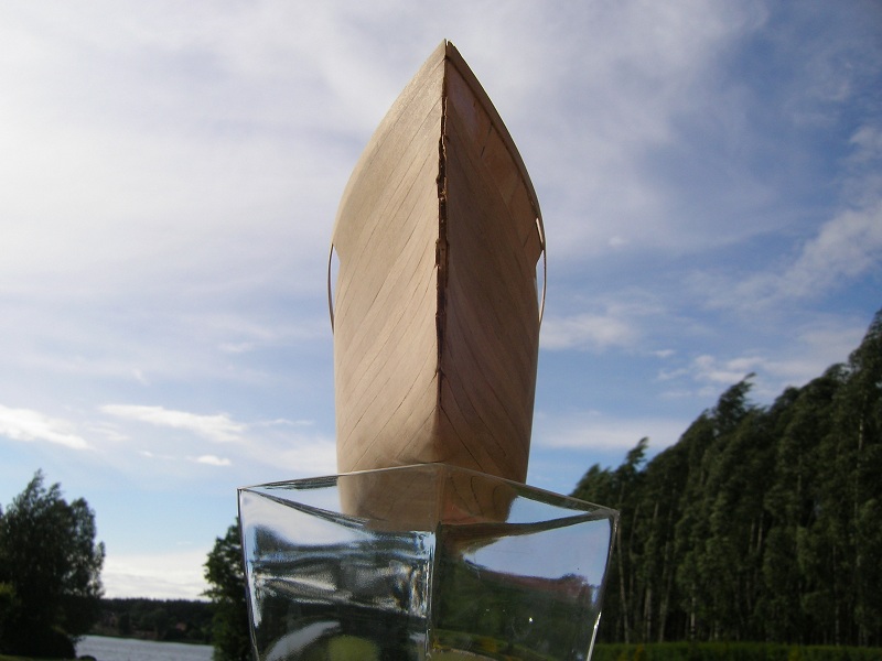 238.JPG