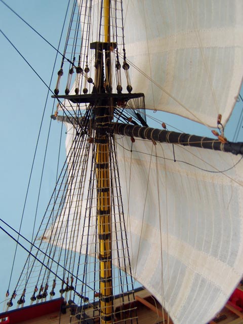 127.JPG