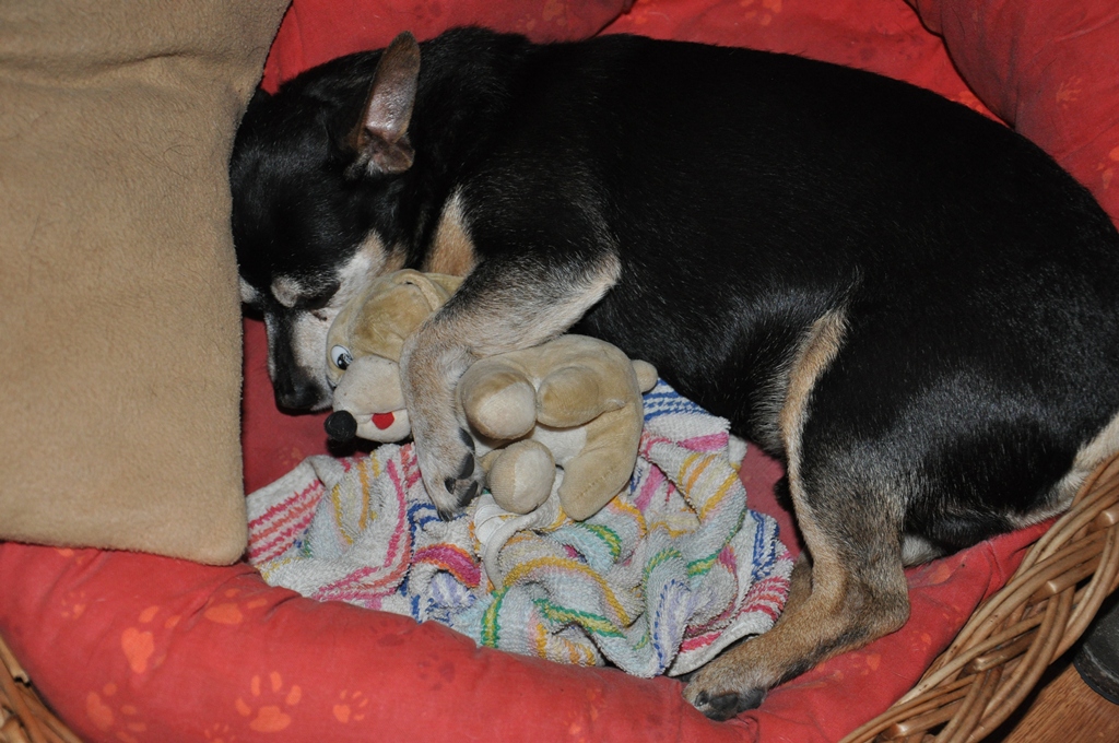 DSC_0136.jpg