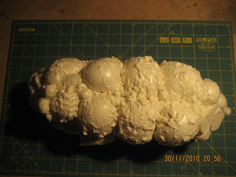 Mayflower (7).JPG
