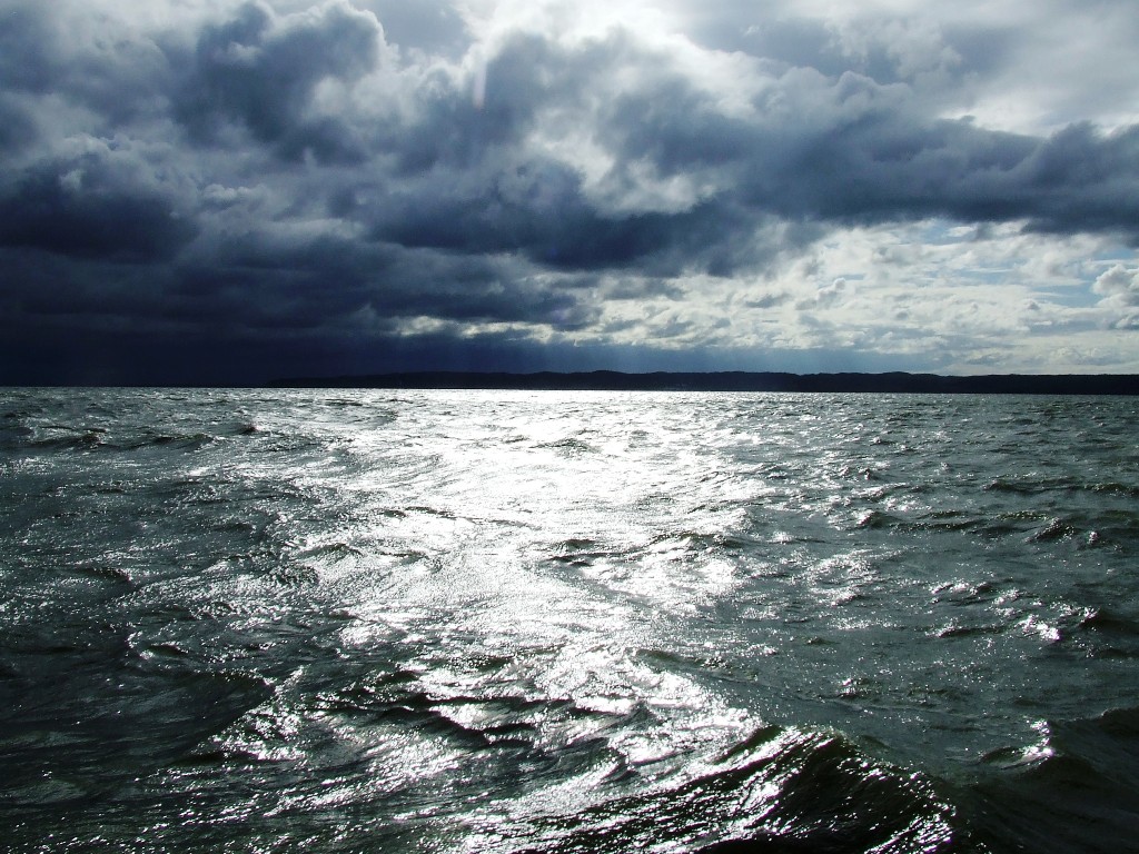 DSCF7348.JPG