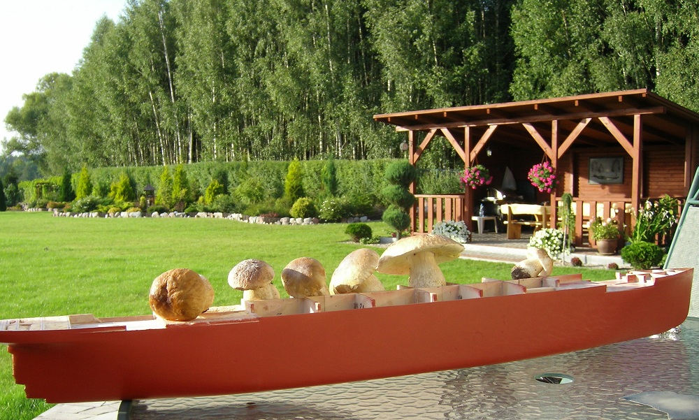 433.JPG