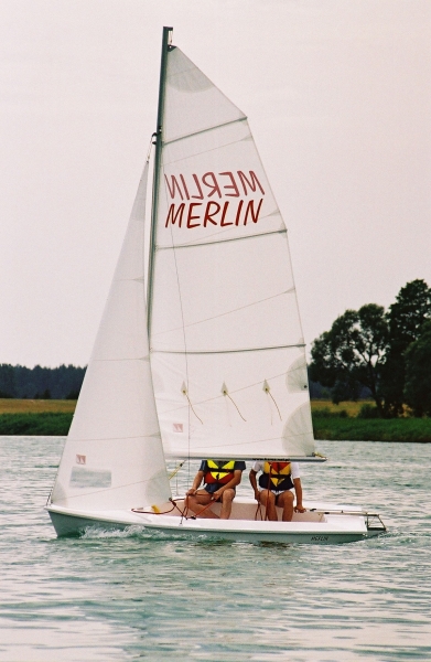 merlin1.jpg