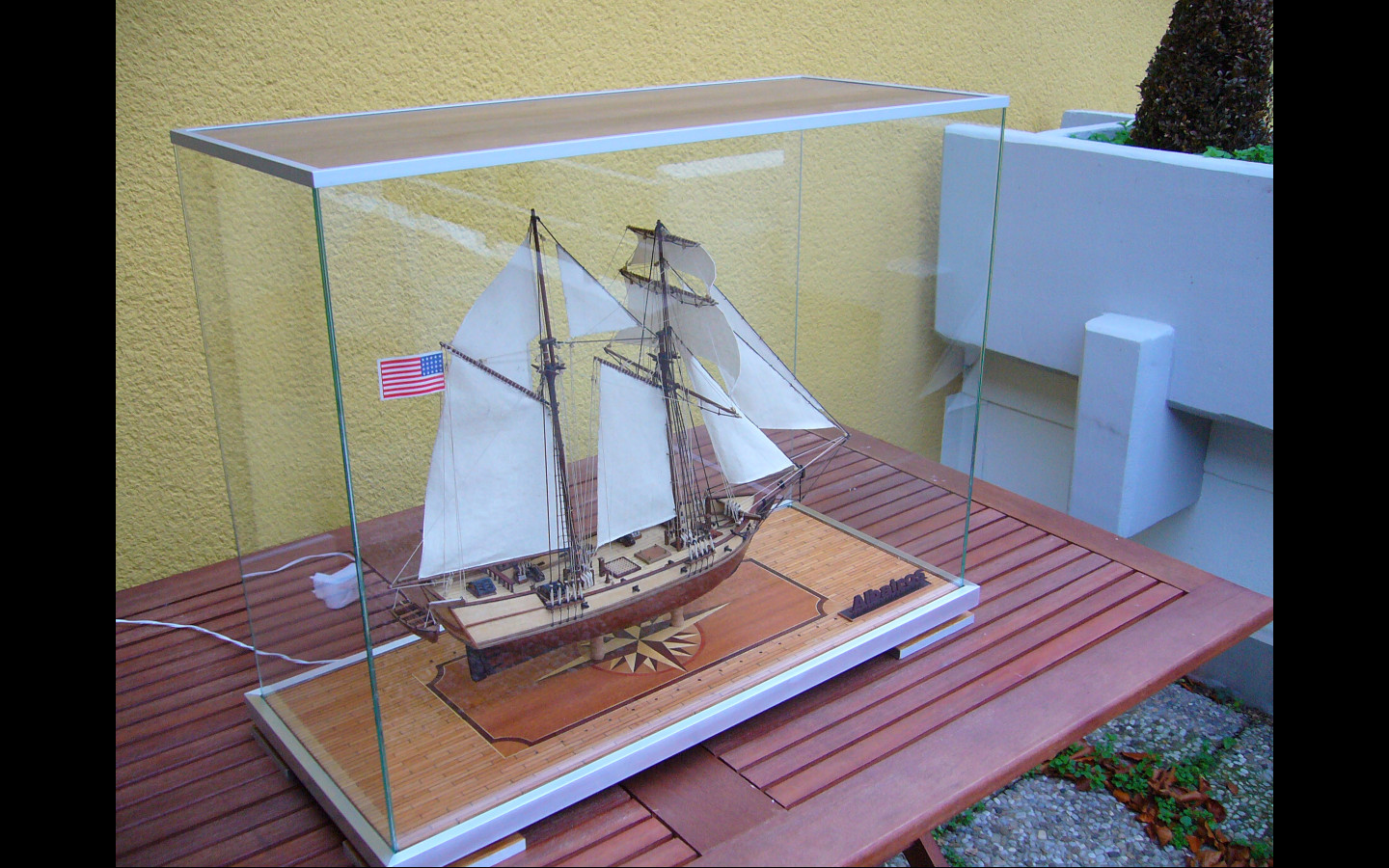 albatros tomsonikkk 113.jpg