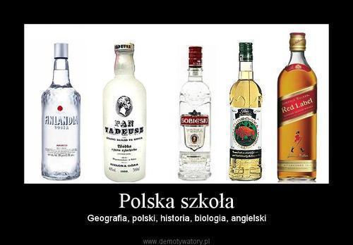szkoa.JPG