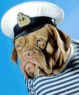 skipper.jpg