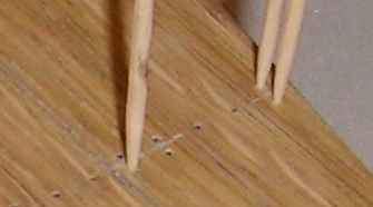 585.JPG