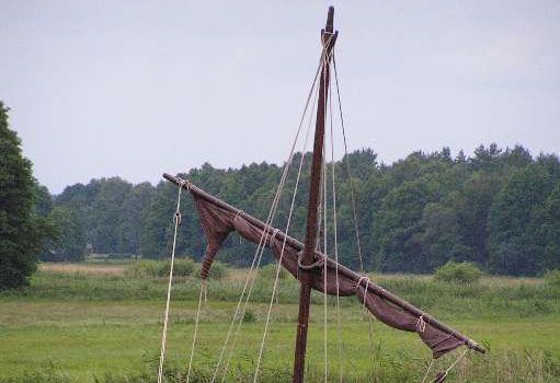 _viking.jpg