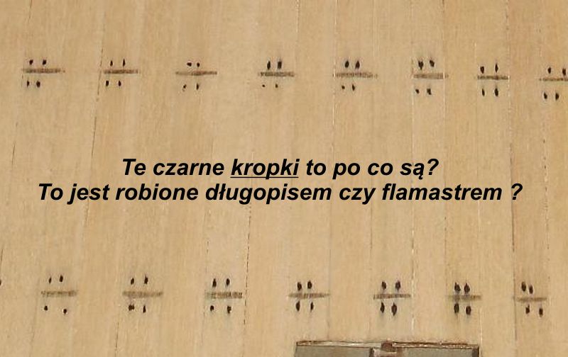 Pseudokołki.jpg