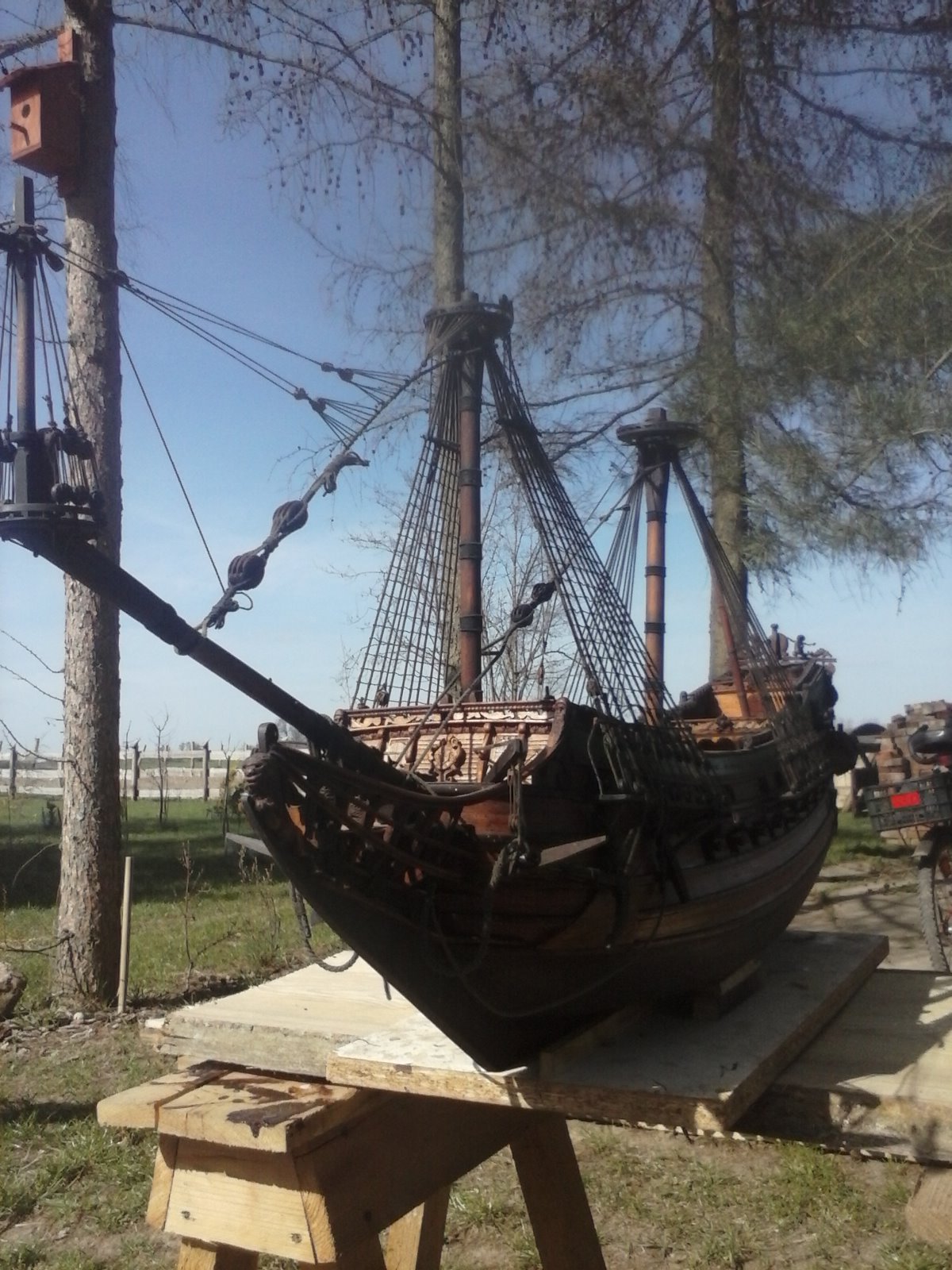CAM00431.jpg