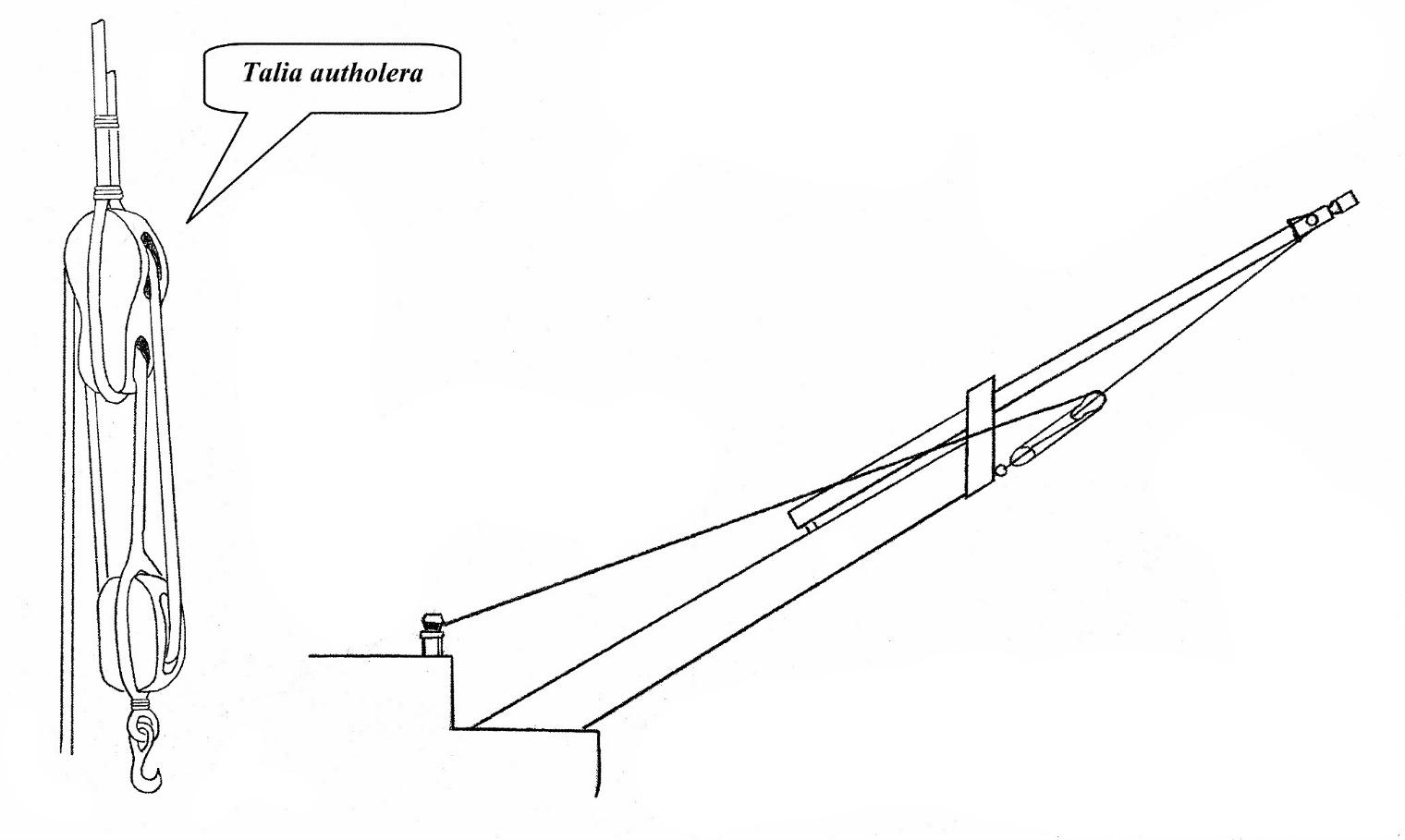 autholer kliwra.jpg