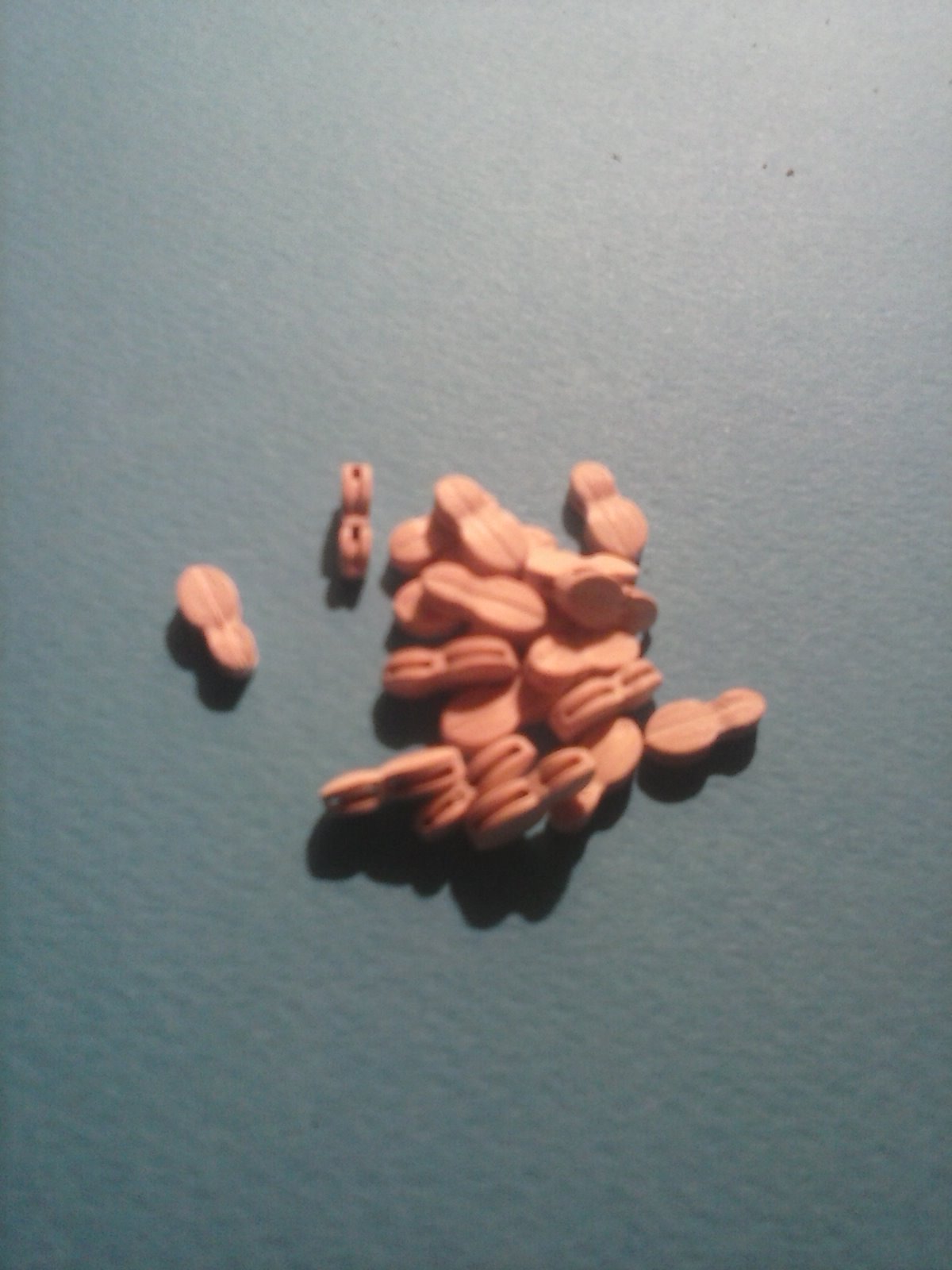 CAM00487.jpg