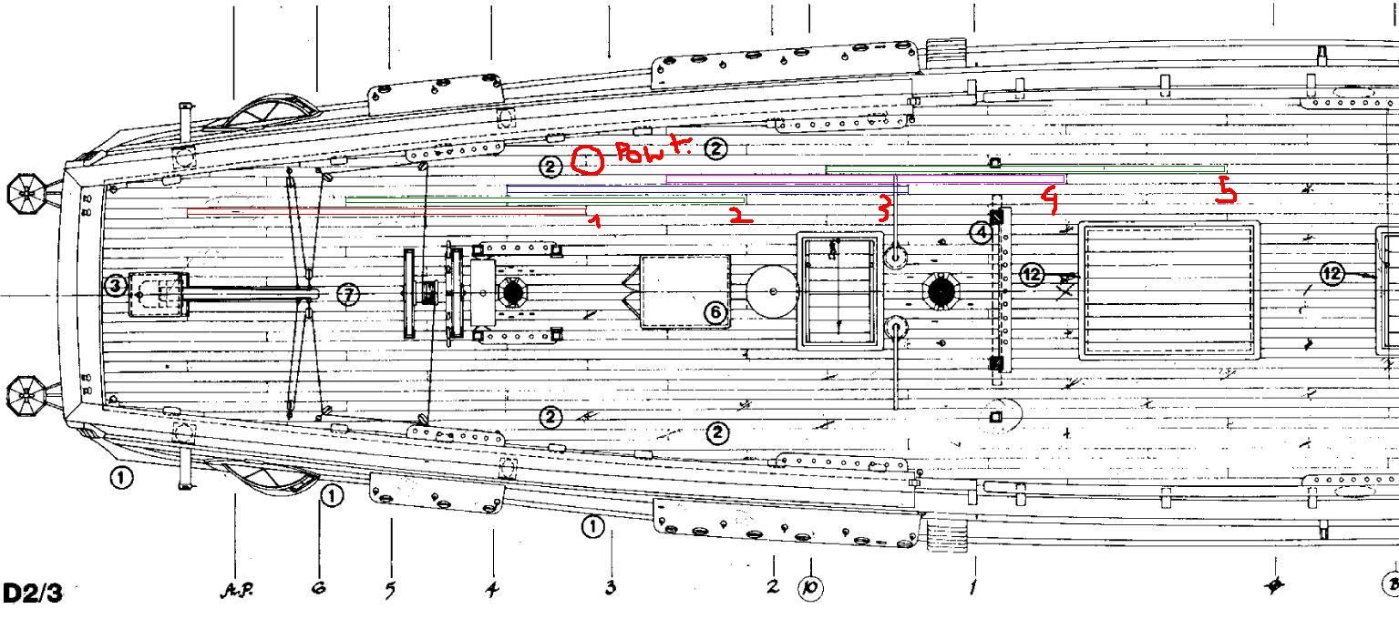 Anatomy 3.JPG