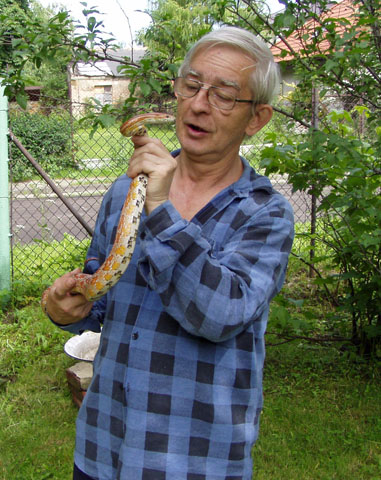 P1010290 - Kopia.JPG