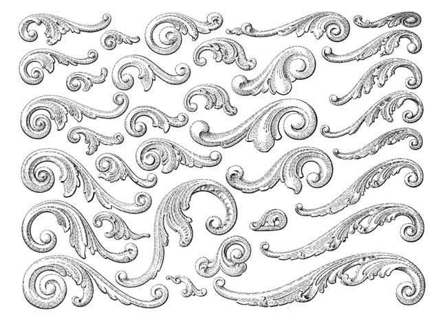 Ornamental03.jpg