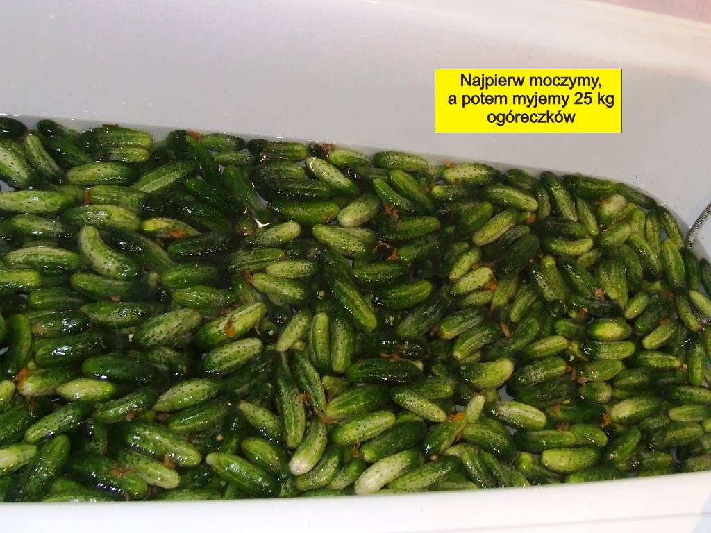 DSCF8180.JPG