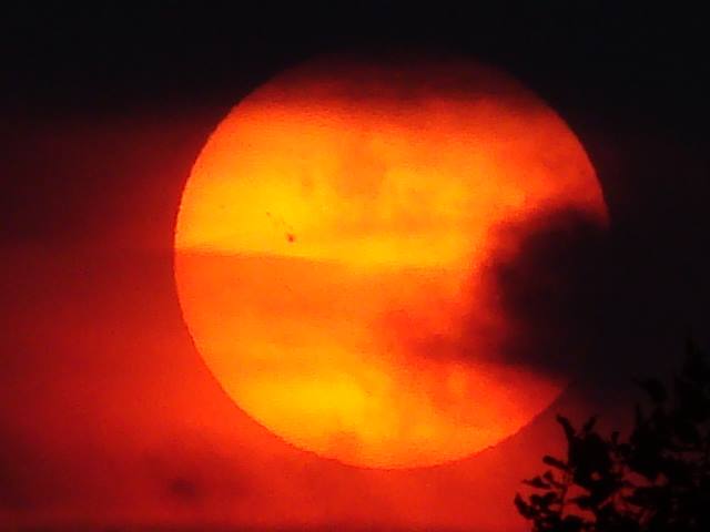 1009758_553207448058449_202268625_n.jpg