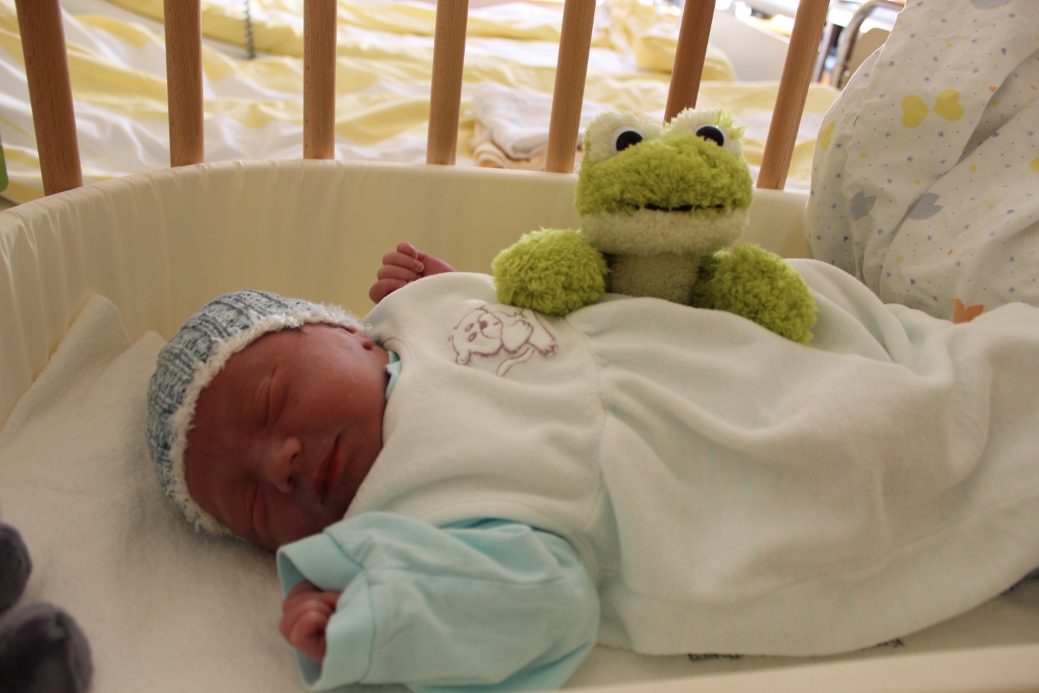 Mój pomocnik ma na imię Maximilian urodził się 02.09.2013r waga 3420g i 51cm