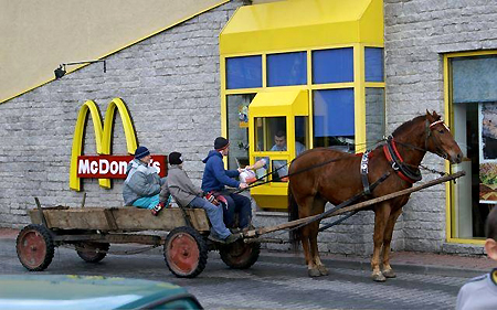 Myszor w miescie.jpeg