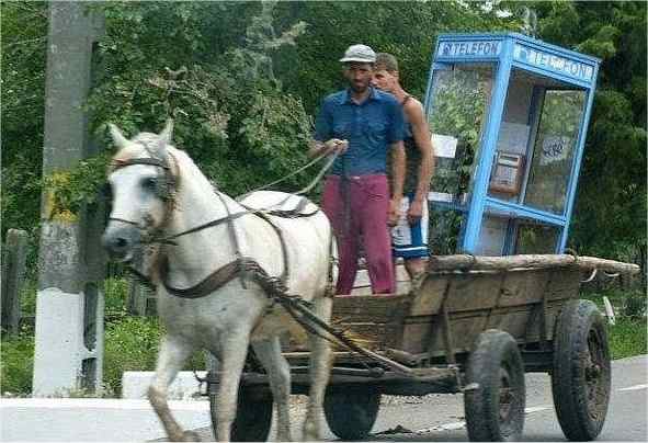 Myszor.jpg