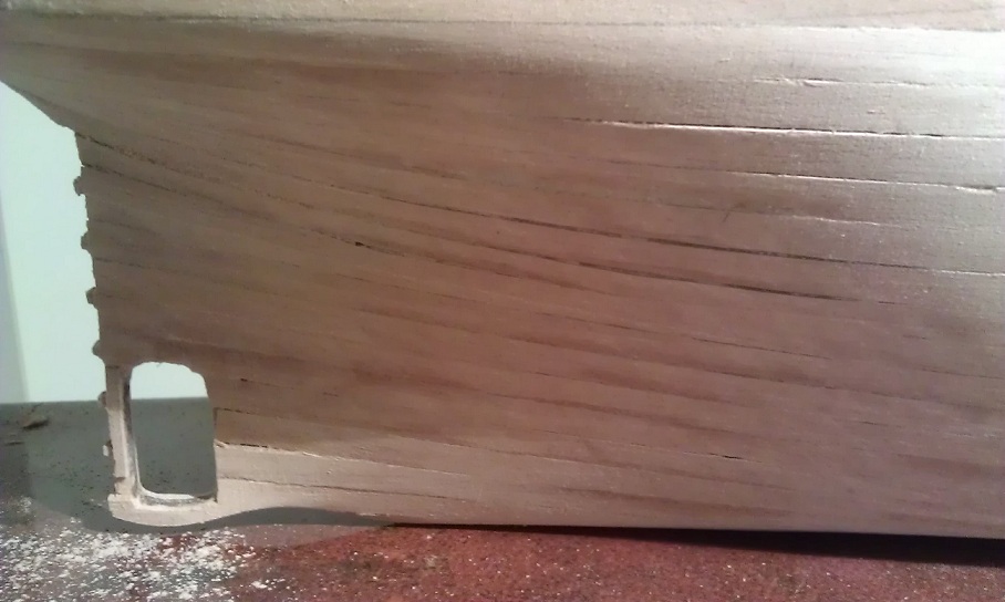 IMAG0529.jpg