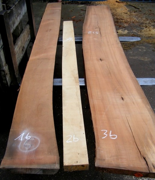Holz.JPG