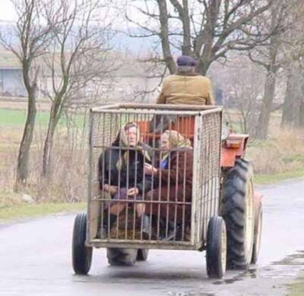 Myszor i jego sasiadki.jpg