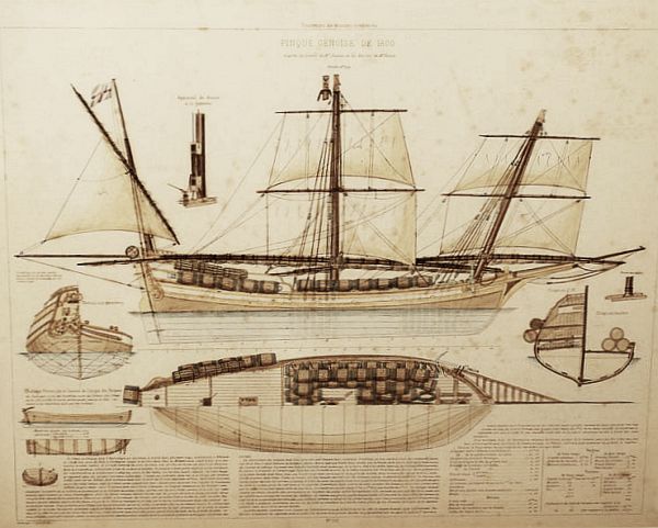 pinque_genoise_001.jpg