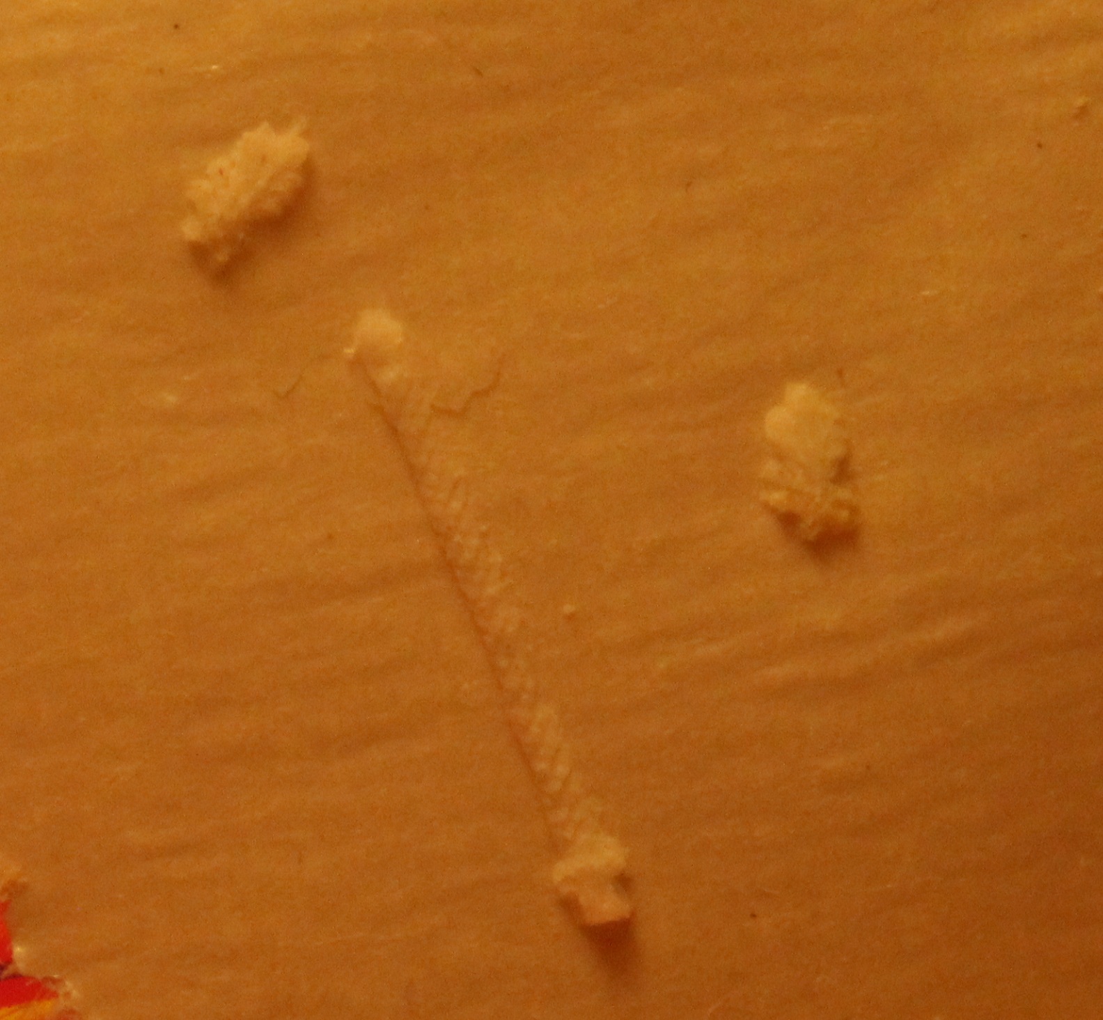 RW277.jpg