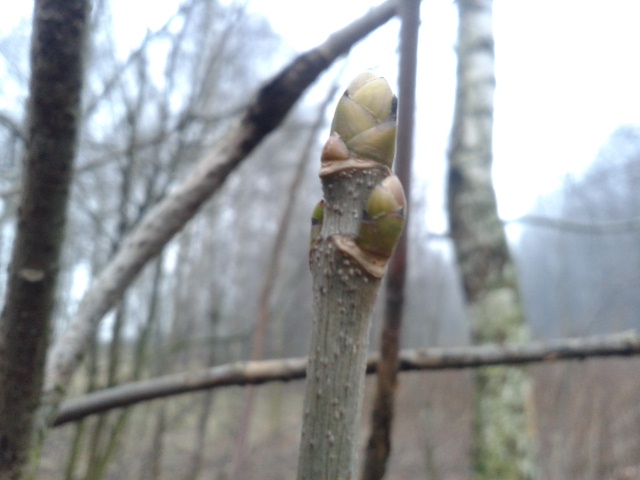 20140118_150947.jpg