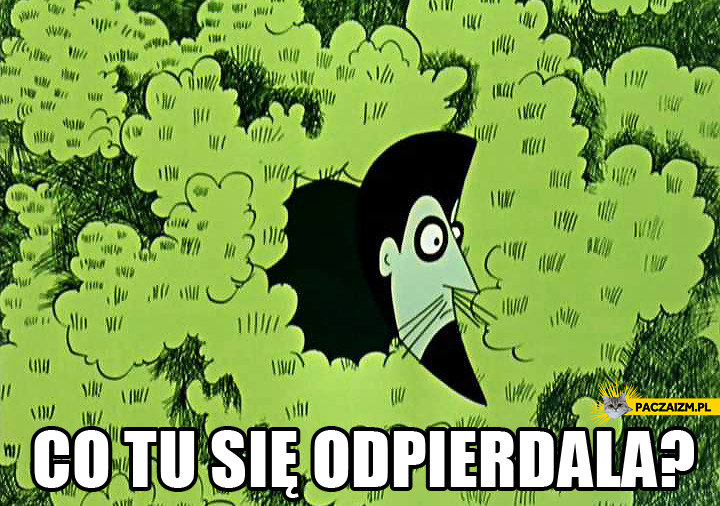 co-tu-sie-odpierdala.jpg
