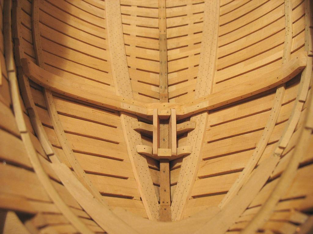 gniazdo (1).jpg