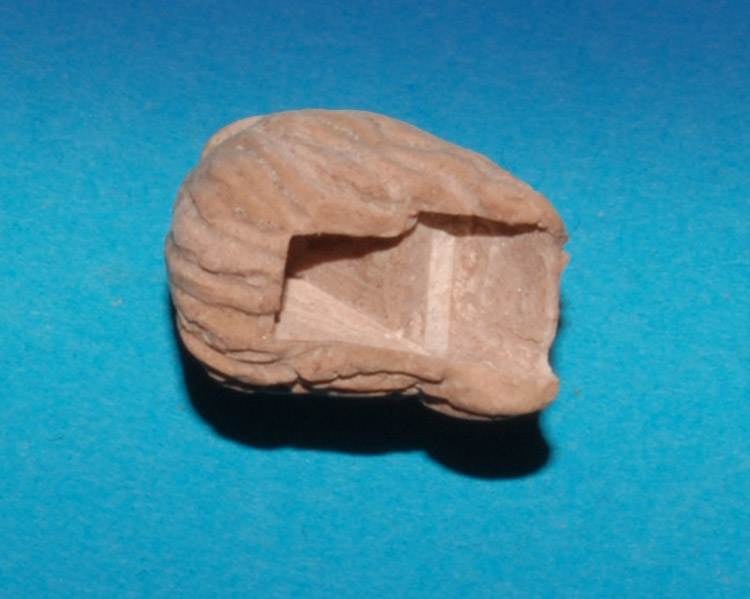 DSC_9083.jpg
