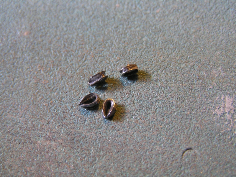P1010003.JPG