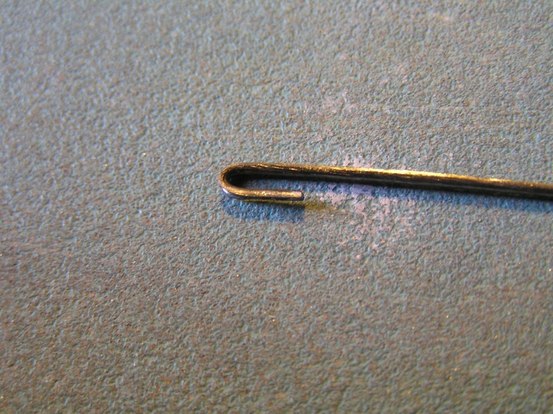 P1010002.JPG