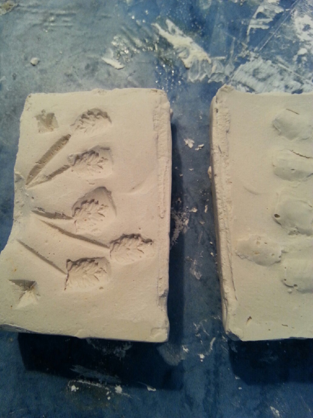 20140416_113327.jpeg
