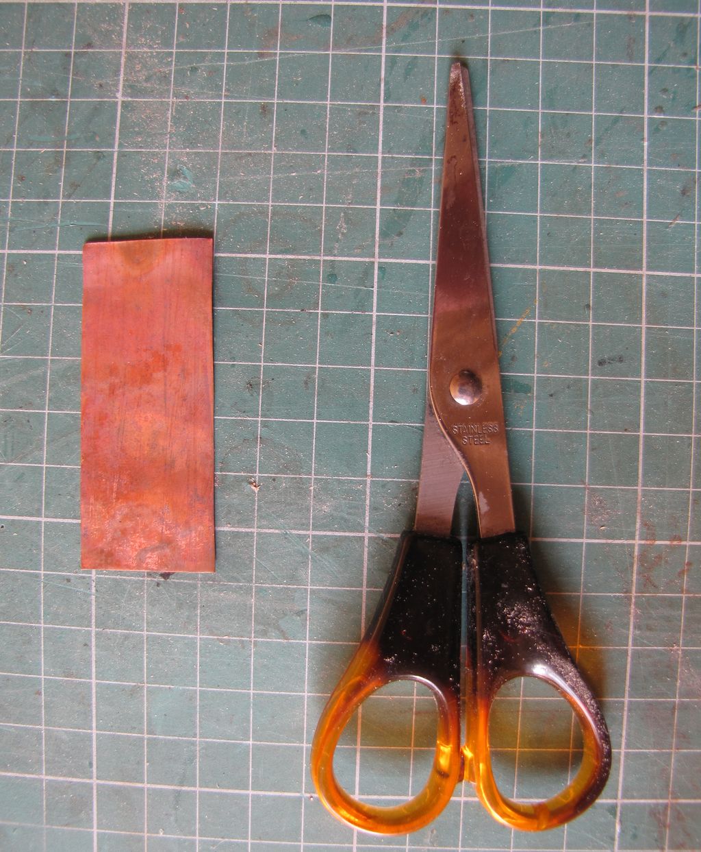 leocadia 046.jpg