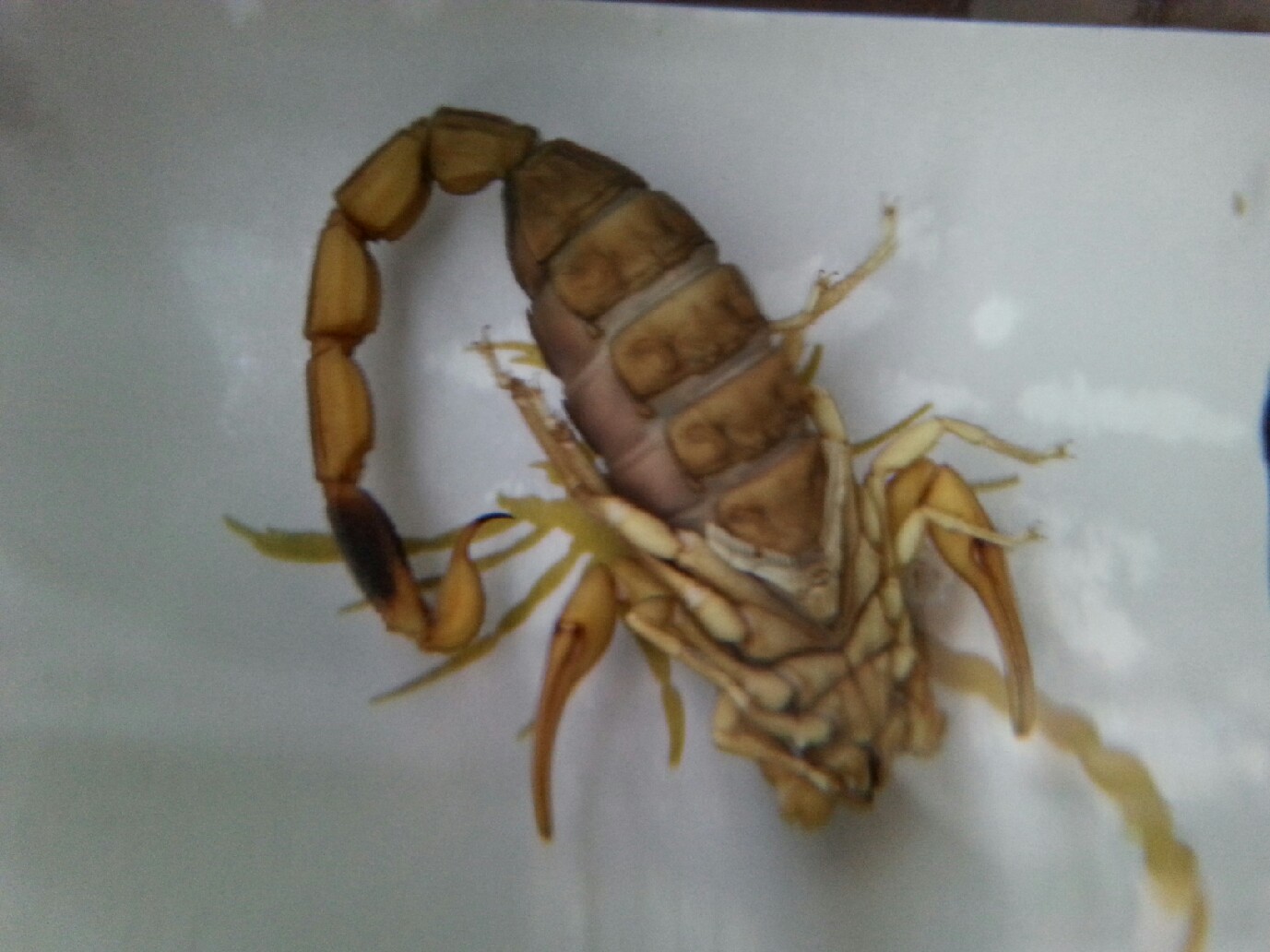 20140523_202331.jpeg
